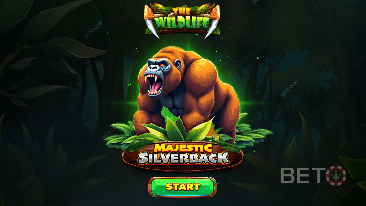 Bonus Features Explained in Majestic Silverback by Spinomenal