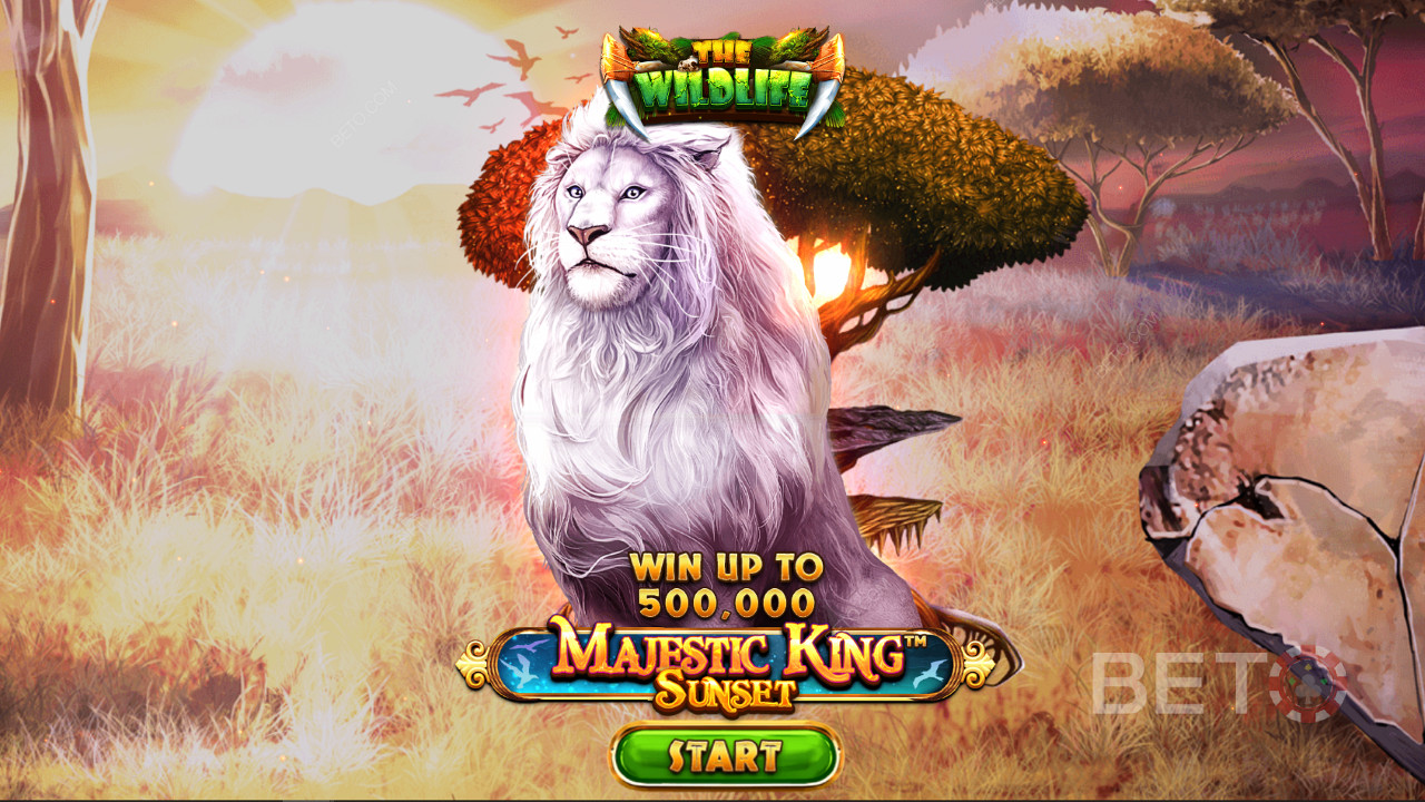 Rule the roost over wild beasts and pokie bonuses in the new Spinomenal release