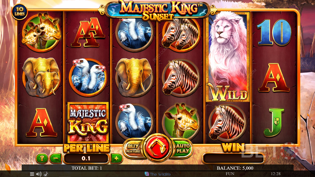 Majestic King Sunset: 96% RTP and High Volatility for Kiwi Players