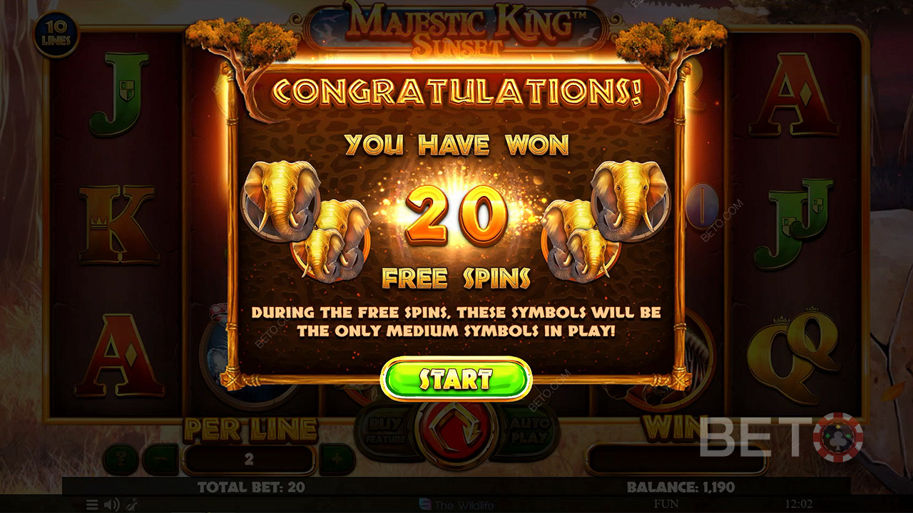 Crack into Free Spins mode for up to 40 extra spins and boost your odds