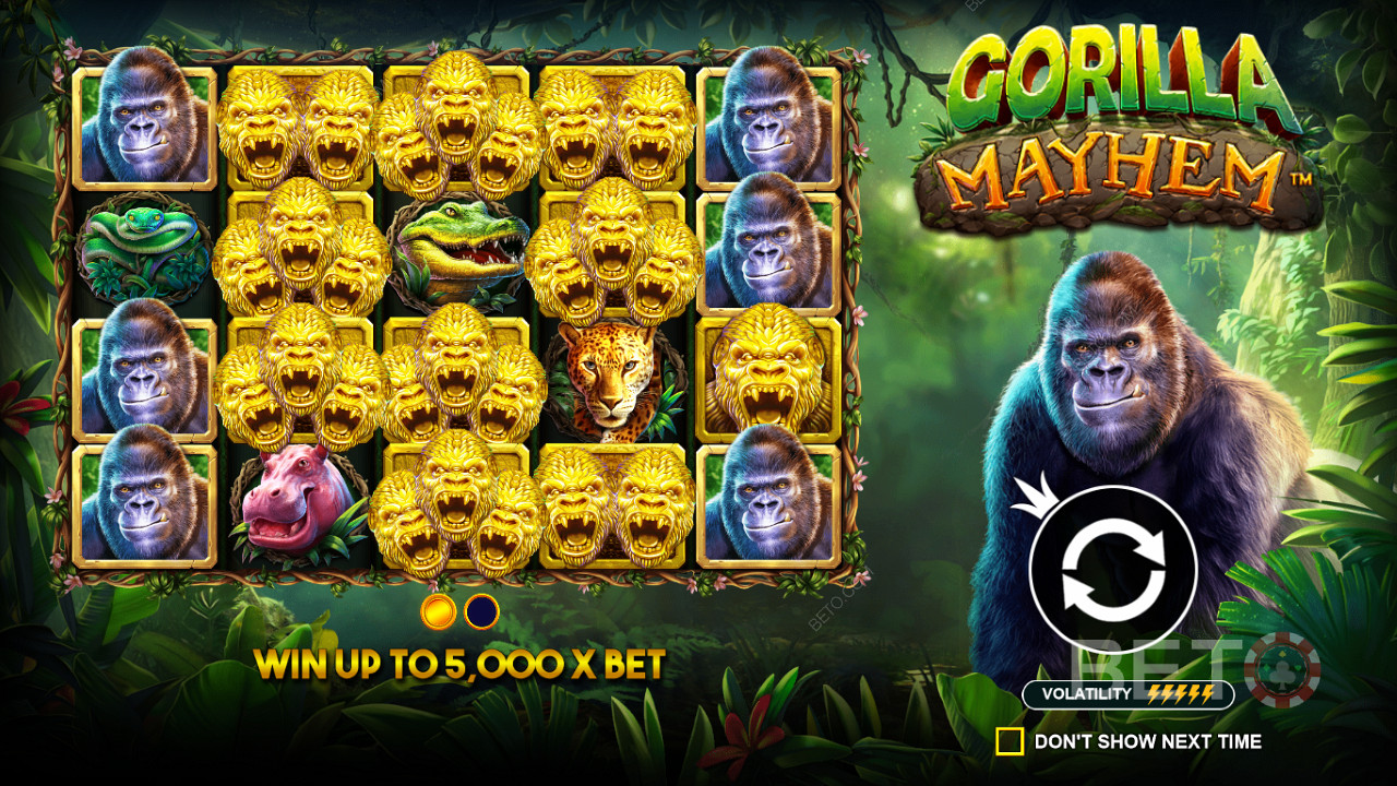 Gorilla Mayhem pokie: Golden Gorilla symbols are key to big wins