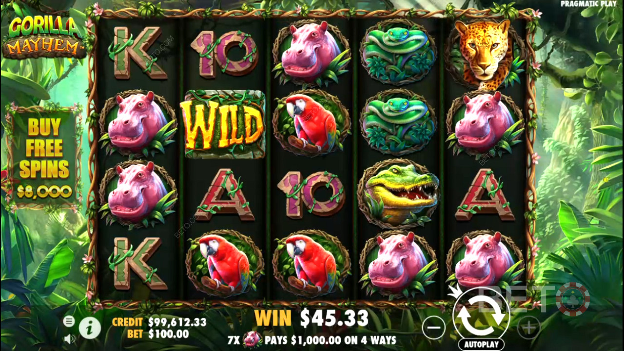 Score big with 1,024 ways to win in Gorilla Mayhem pokie