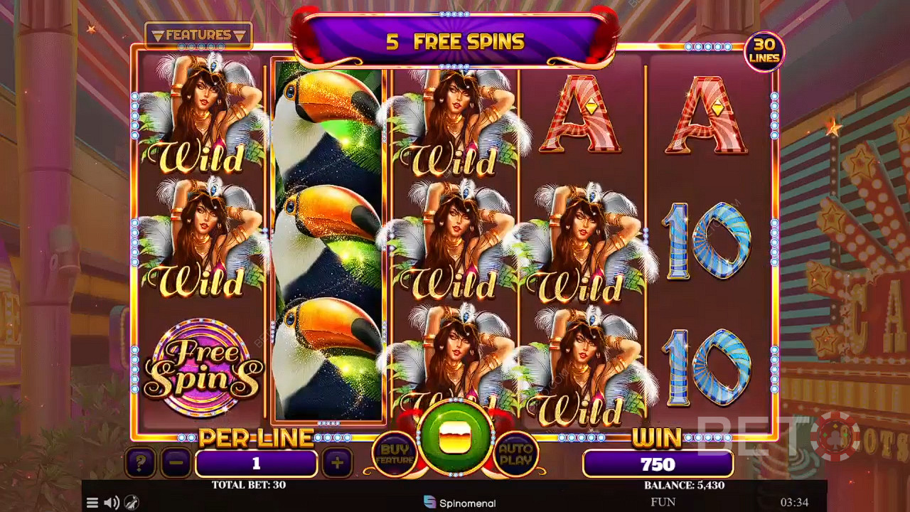 Reels Of Rio Free Play
