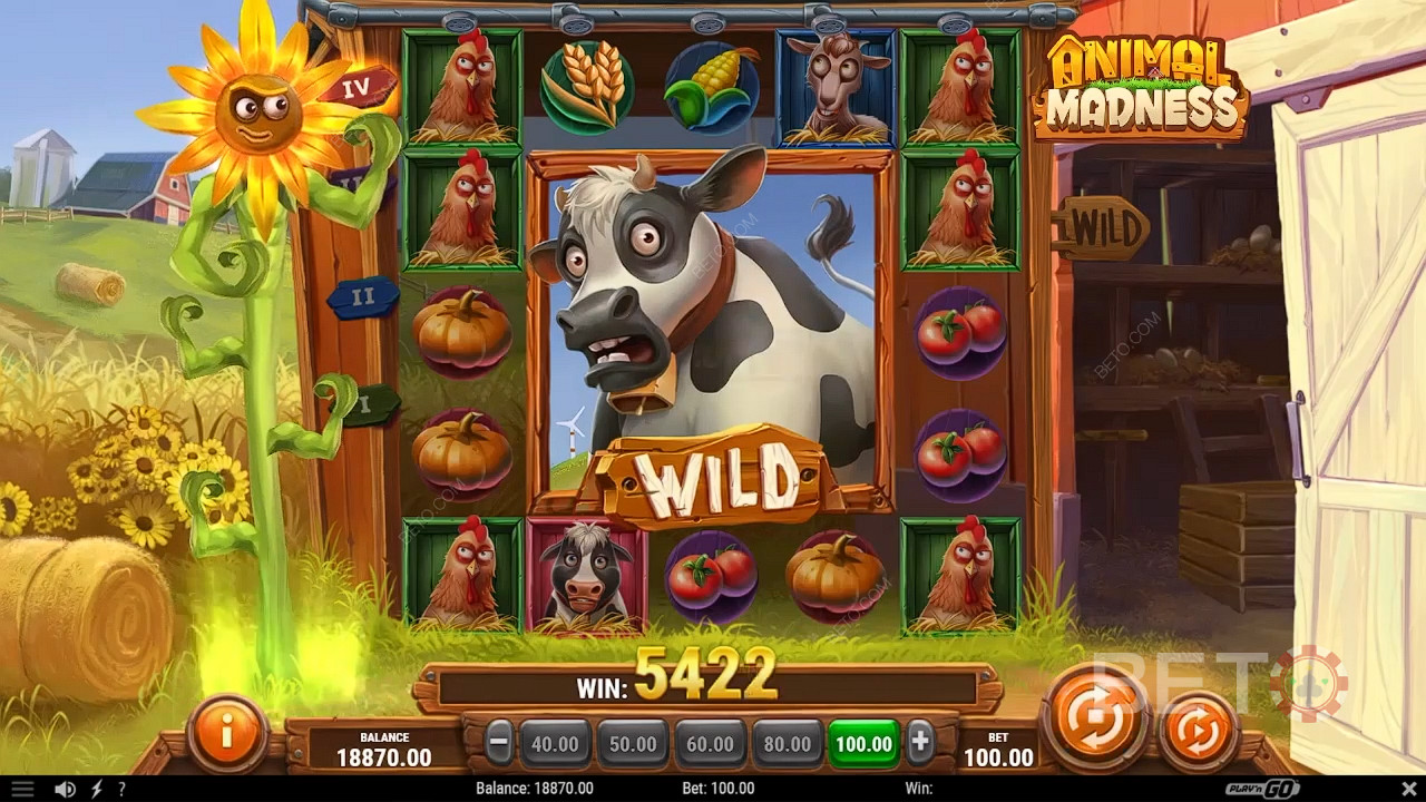 Animal Madness Free Play