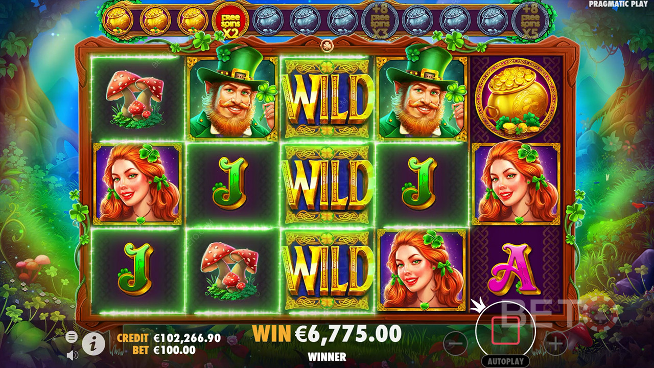 Kiwi Charm: Irish Magic Comes Alive