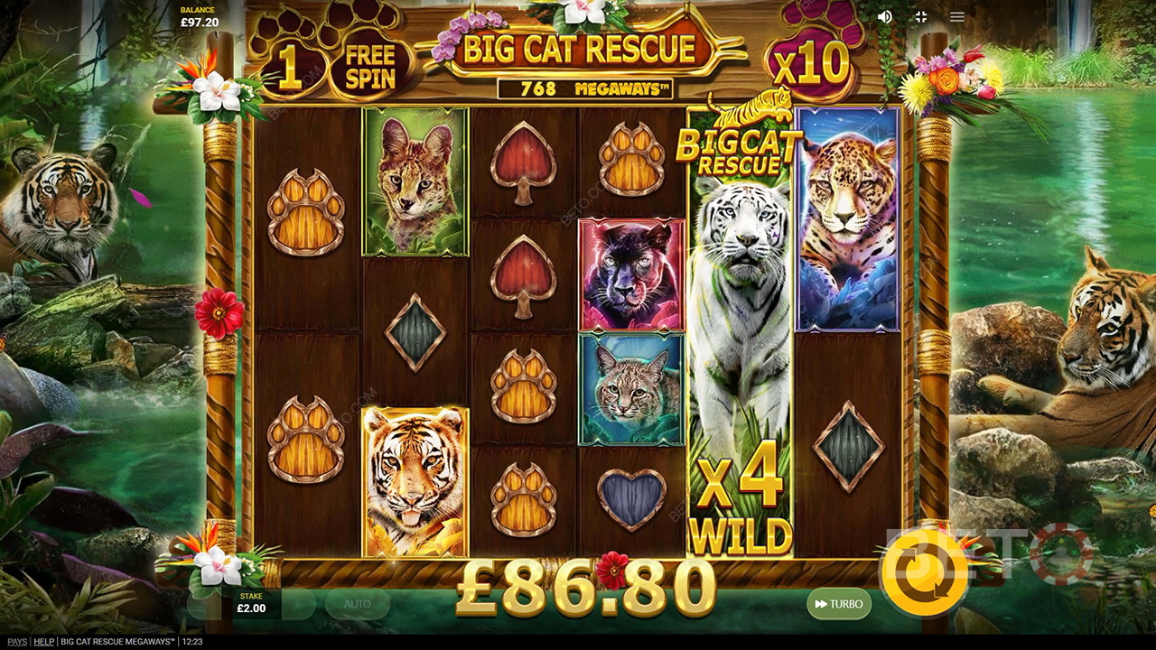 Big Cat Rescue Megaways Review by BETO Pokie