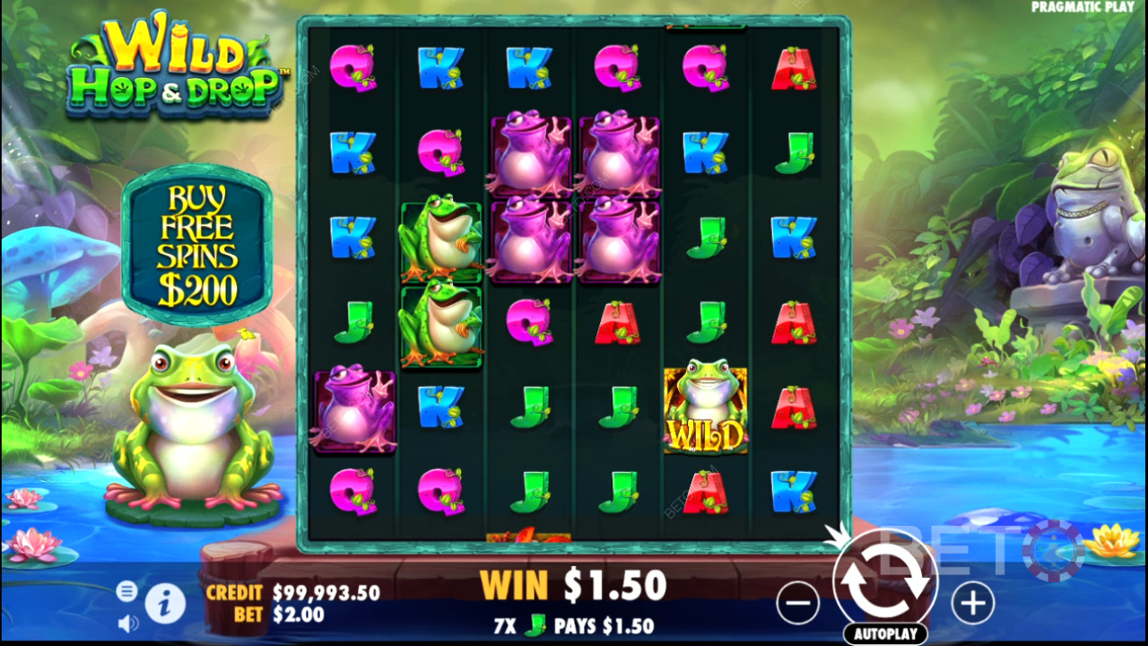 Theme & Design: Cheeky Kiwi Pond Romp
