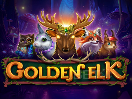 Golden Elk Demo
