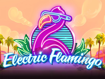 Electric Flamingo Demo
